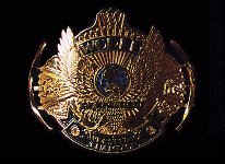 heavy.bmp (93054 bytes)